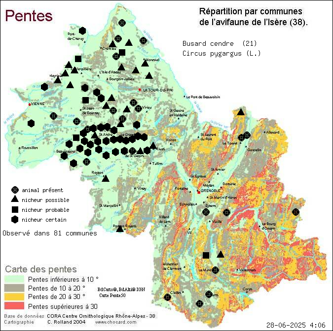 Busard cendr (Circus pygargus (L.)): carte de rpartition en Isre