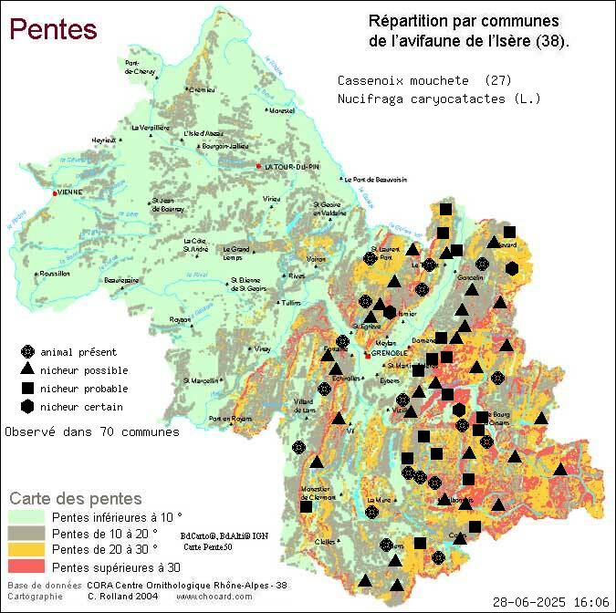 Cassenoix mouchet (Nucifraga caryocatactes (L.)): carte de rpartition en Isre