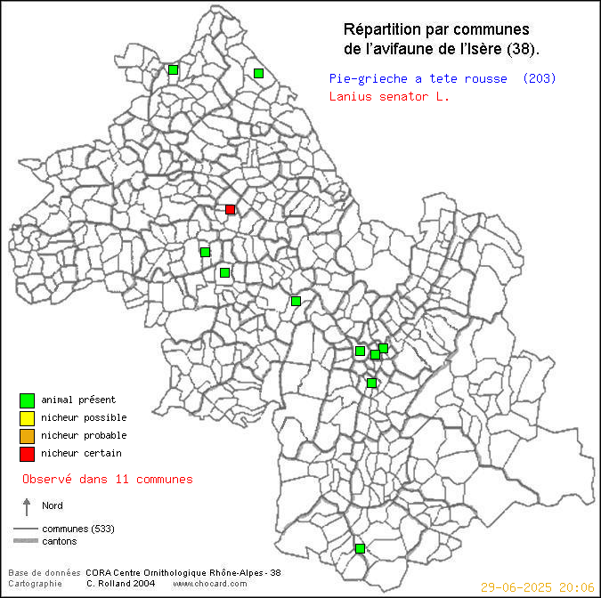 Pie-griche  tte rousse (Lanius senator L.): carte de rpartition en Isre