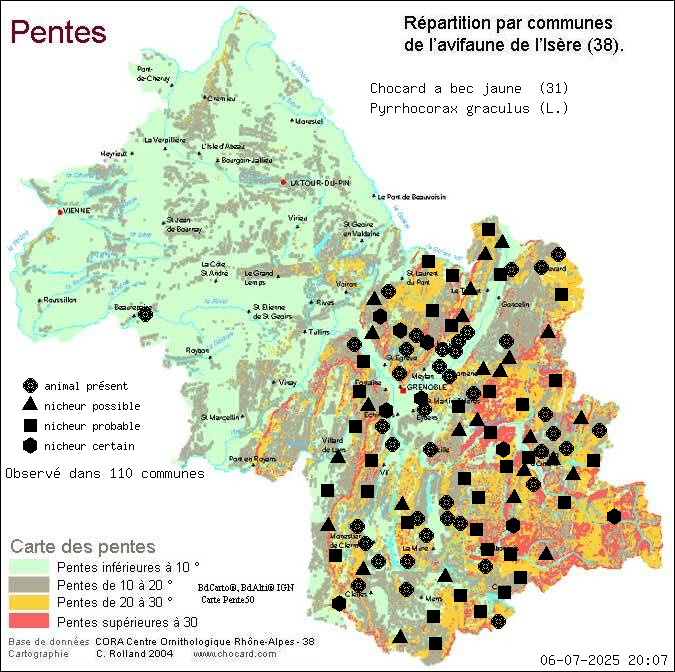 Chocard  bec jaune (Pyrrhocorax graculus (L.)): carte de rpartition en Isre