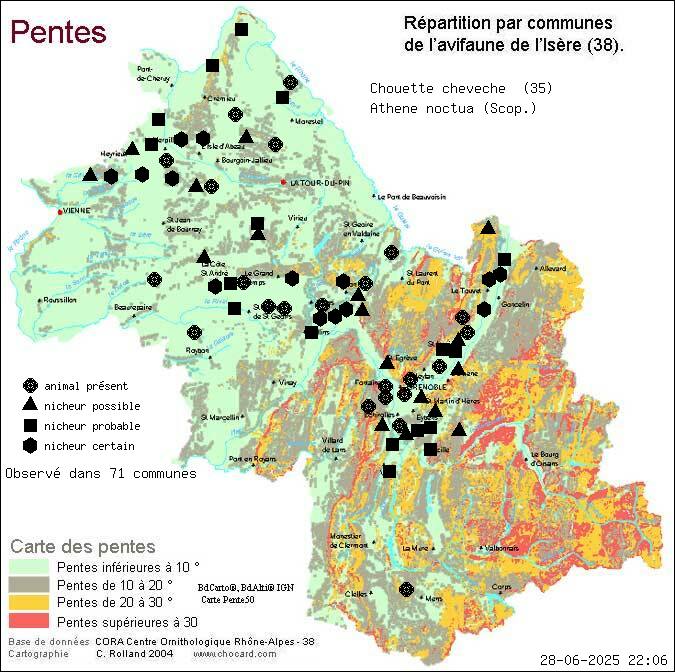 Chouette chevche (Athene noctua (Scop.)): carte de rpartition en Isre