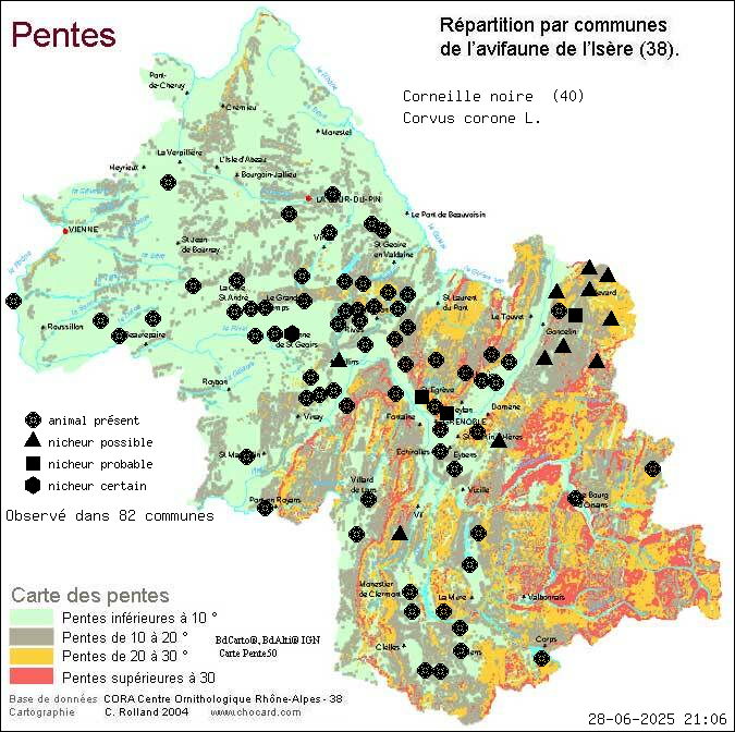 Corneille noire (Corvus corone L.): carte de rpartition en Isre