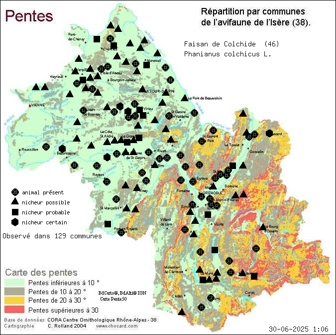 Faisan de Colchide (Phanianus colchicus L.): carte de rpartition en Isre