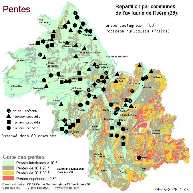 Grbe castagneux (Podiceps ruficollis (Pallas)): carte de rpartition en Isre