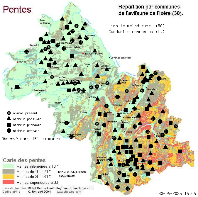 Linotte mlodieuse (Carduelis cannabina (L.)): carte de rpartition en Isre
