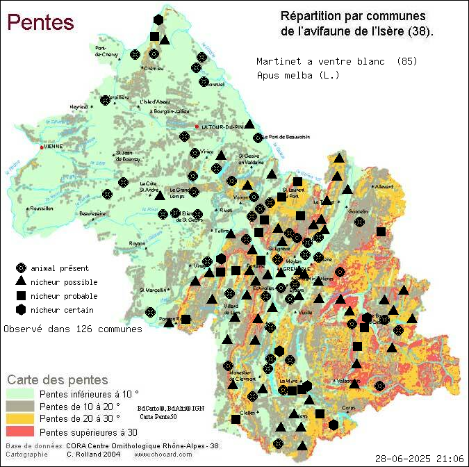 Martinet  ventre blanc (Apus melba (L.)): carte de rpartition en Isre