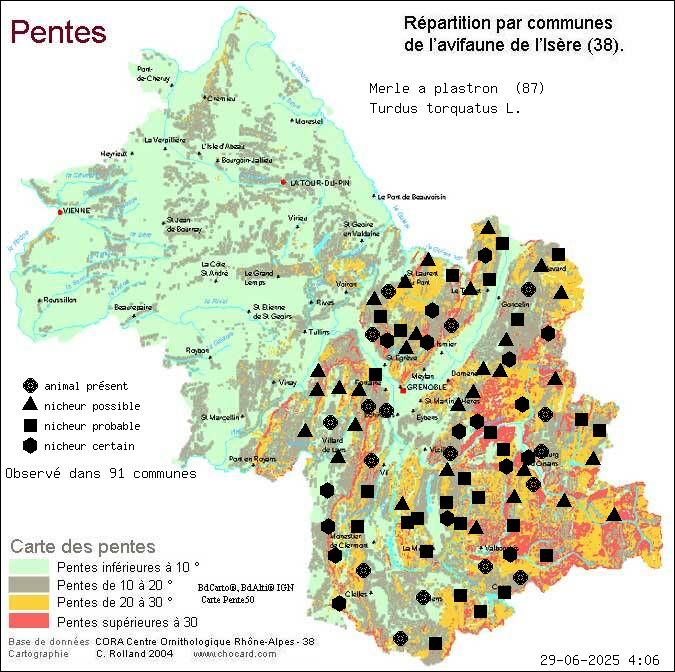 Merle  plastron (Turdus torquatus L.): carte de rpartition en Isre