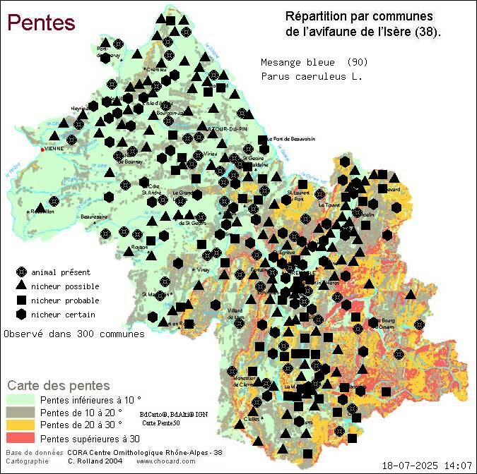 Carte de rpartition par communes en Isre d'une espce d'animal: Msange bleue (Parus caeruleus L.) selon Pentes