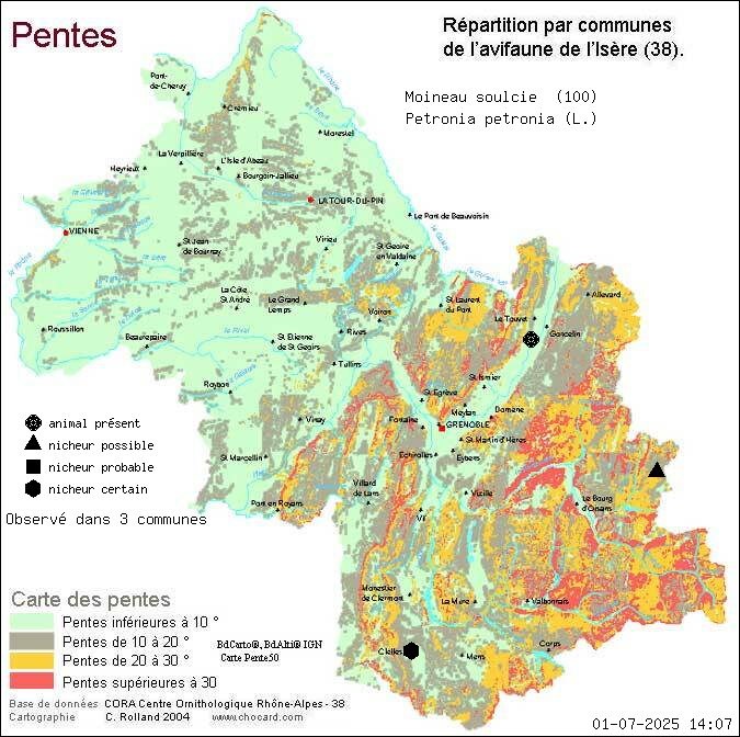 Moineau soulcie (Petronia petronia (L.)): carte de rpartition en Isre