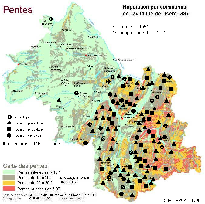 Pic noir (Dryocopus martius (L.)): carte de rpartition en Isre