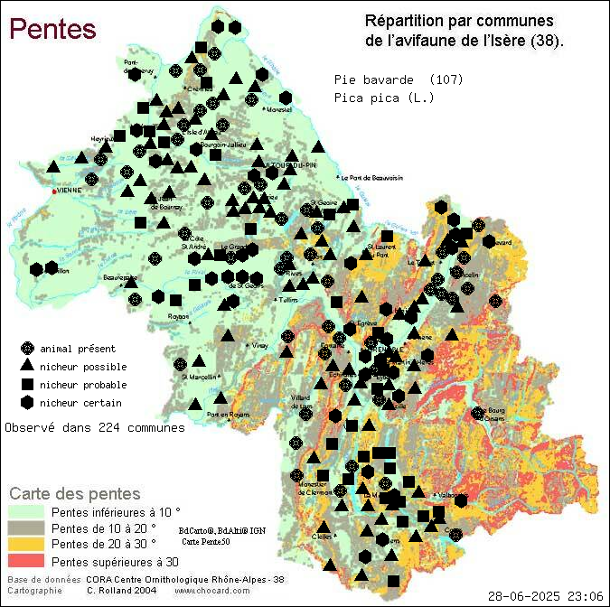 Pie bavarde (Pica pica (L.)): carte de rpartition en Isre