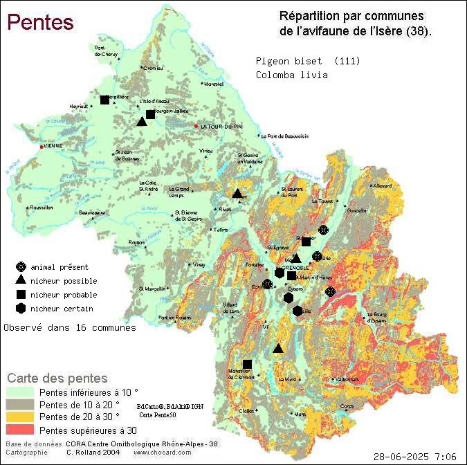 Pigeon biset (Colomba livia): carte de rpartition en Isre