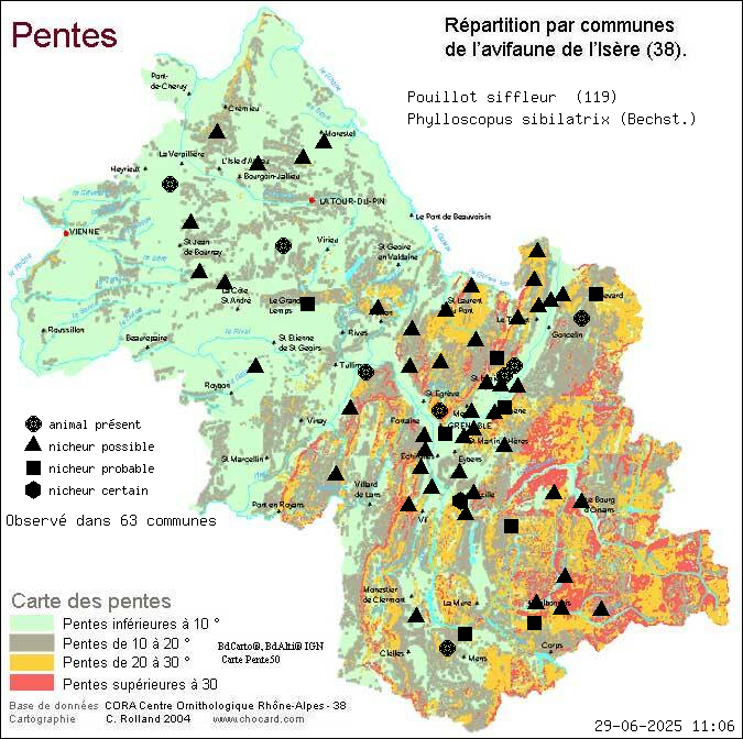 Pouillot siffleur (Phylloscopus sibilatrix (Bechst.)): carte de rpartition en Isre