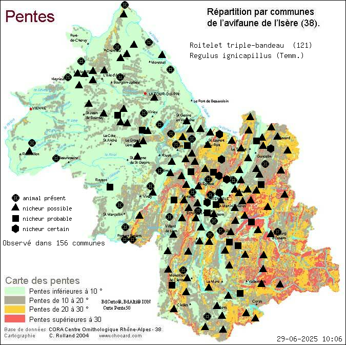 Roitelet triple-bandeau (Regulus ignicapillus (Temm.)): carte de rpartition en Isre