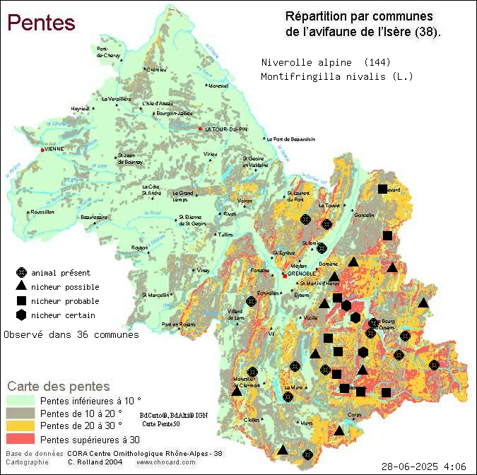 Niverolle alpine (Montifringilla nivalis (L.)): carte de rpartition en Isre