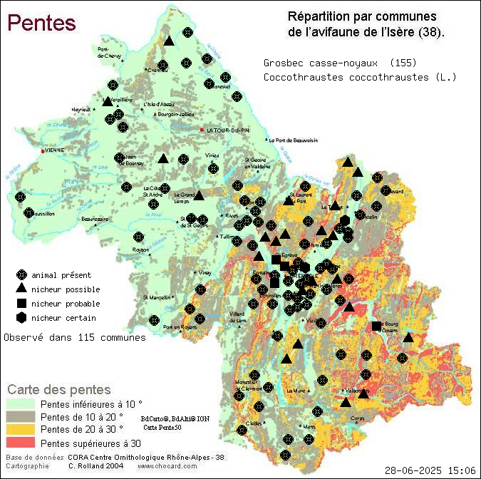 Grosbec casse-noyaux (Coccothraustes coccothraustes (L.)): carte de rpartition en Isre