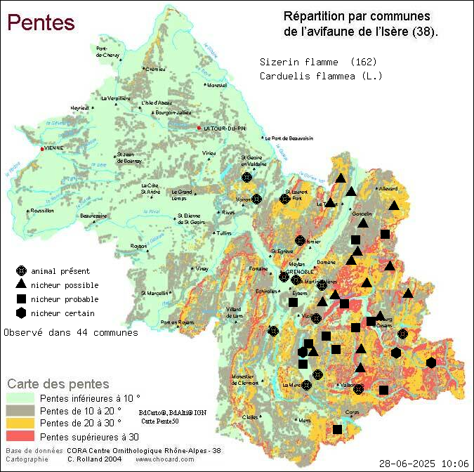 Sizerin flamm (Carduelis flammea (L.)): carte de rpartition en Isre