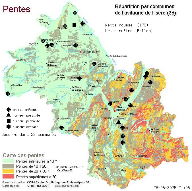 Carte de rpartition par communes en Isre d'une espce d'animal: Nette rousse (Netta rufina (Pallas)) selon Pentes