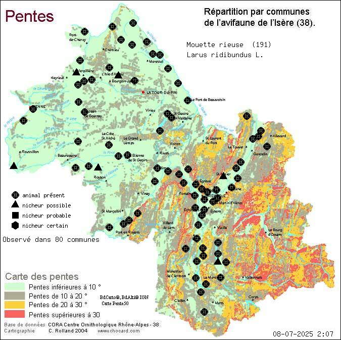 Carte de rpartition par communes en Isre d'une espce d'animal: Mouette rieuse (Larus ridibundus L.) selon Pentes