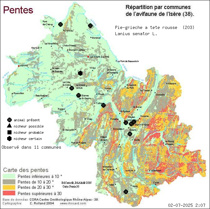 Pie-griche  tte rousse (Lanius senator L.): carte de rpartition en Isre