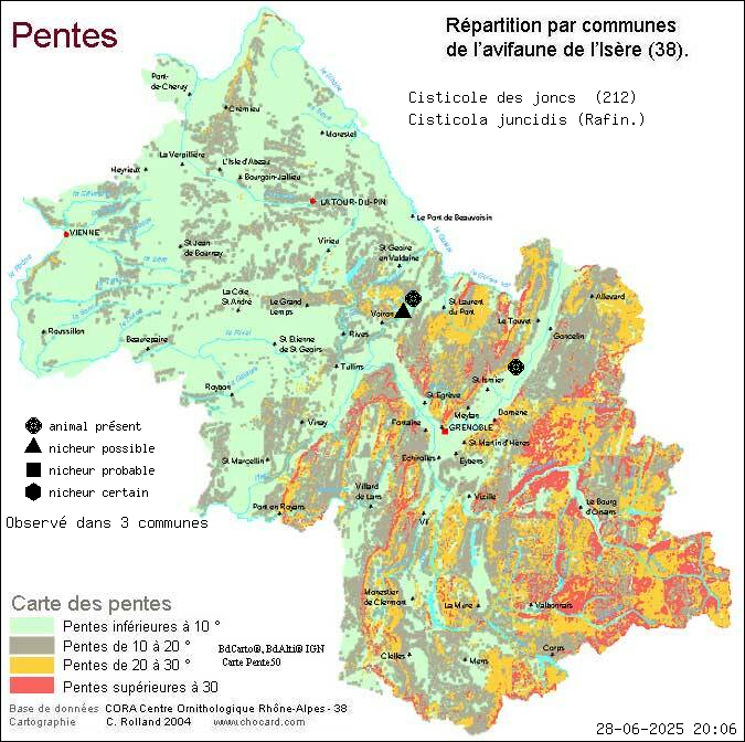 Cisticole des joncs (Cisticola juncidis (Rafin.)): carte de rpartition en Isre