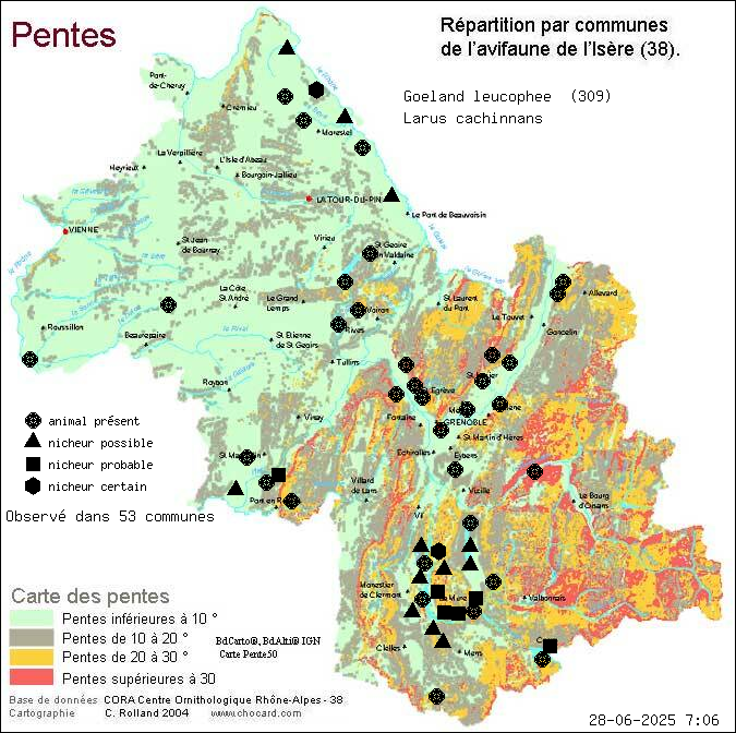 Goland leucophe (Larus cachinnans): carte de rpartition en Isre