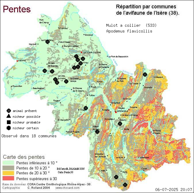 Carte de rpartition par communes en Isre d'une espce d'animal: Mulot  collier (Apodemus flavicollis) selon Pentes