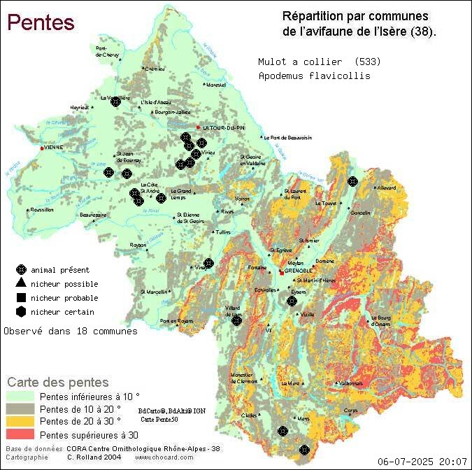 Mulot  collier (Apodemus flavicollis): carte de rpartition en Isre