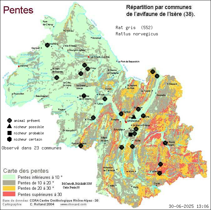 Carte de rpartition par communes en Isre d'une espce d'animal: Rat gris (Rattus norvegicus) selon Pentes