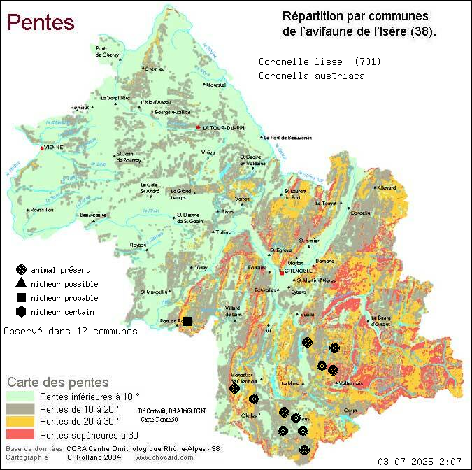 Carte de rpartition par communes en Isre d'une espce d'animal: Coronelle lisse (Coronella austriaca) selon Pentes