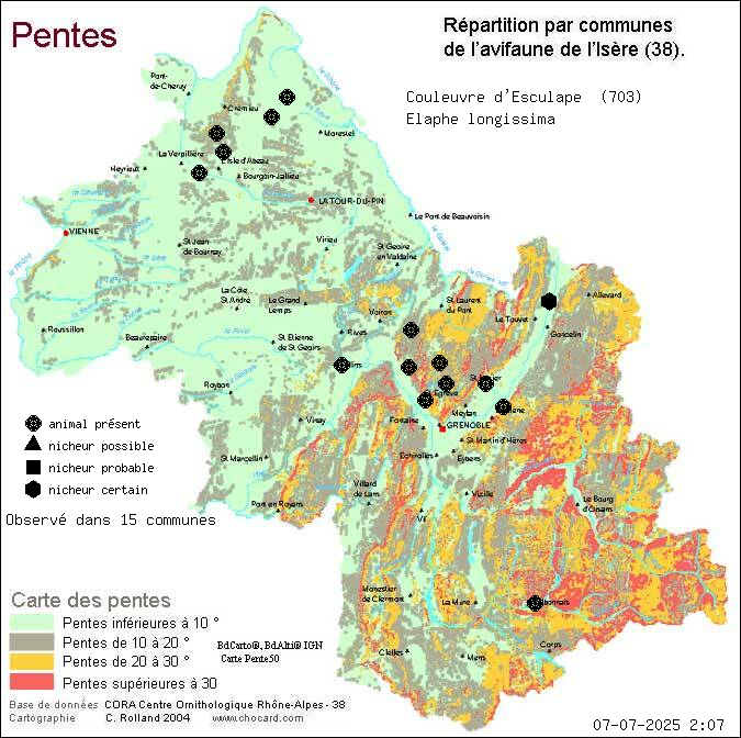 Carte de rpartition par communes en Isre d'une espce d'animal: Couleuvre d Esculape (Elaphe longissima) selon Pentes