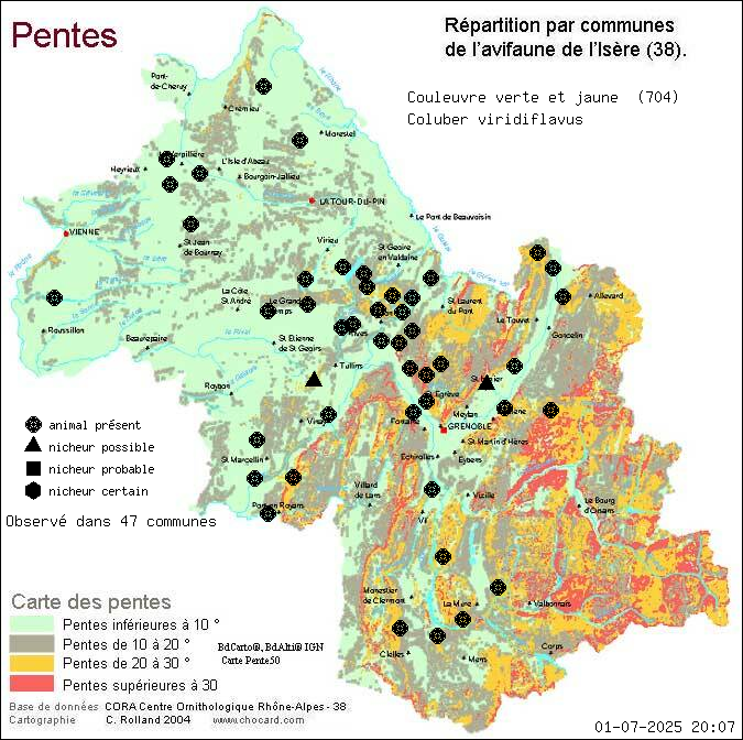 Carte de rpartition par communes en Isre d'une espce d'animal: Couleuvre verte et jaune (Coluber viridiflavus) selon Pentes