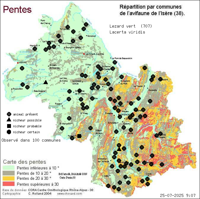 Carte de rpartition par communes en Isre d'une espce d'animal: Lzard vert (Lacerta viridis) selon Pentes