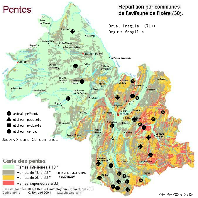 Carte de rpartition par communes en Isre d'une espce d'animal: Orvet fragile (Anguis fragilis) selon Pentes