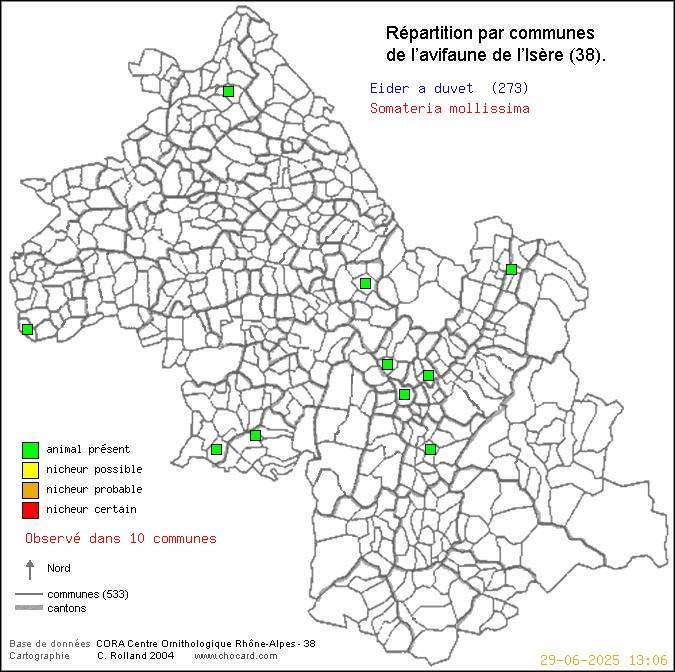 Carte de rpartition par communes en Isre d'une espce d'oiseau: Eider  duvet (Somateria mollissima) selon Communes et cantons