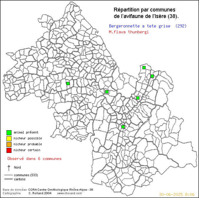 Carte de rpartition par communes en Isre d'une espce d'oiseau: Bergeronnette  tte grise (M.flava thunbergi) selon Communes et cantons