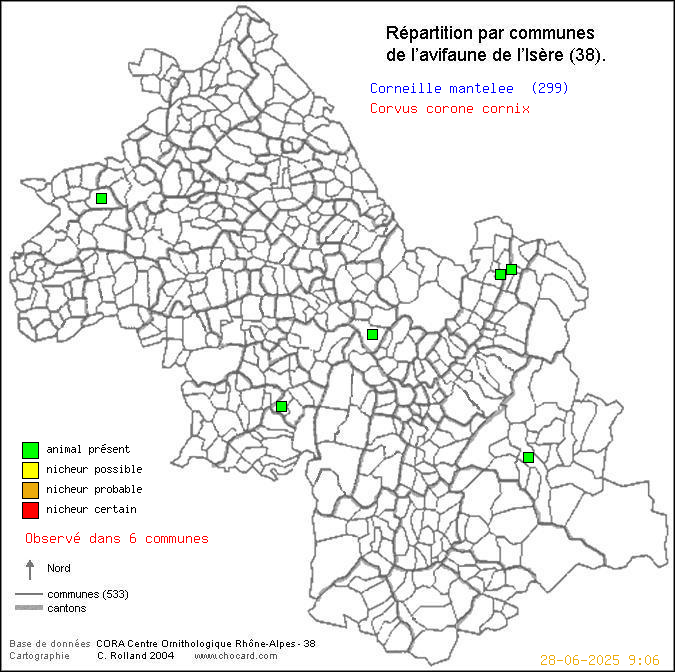 Carte de rpartition par communes en Isre d'une espce d'oiseau: Corneille mantele (Corvus corone cornix) selon Communes et cantons