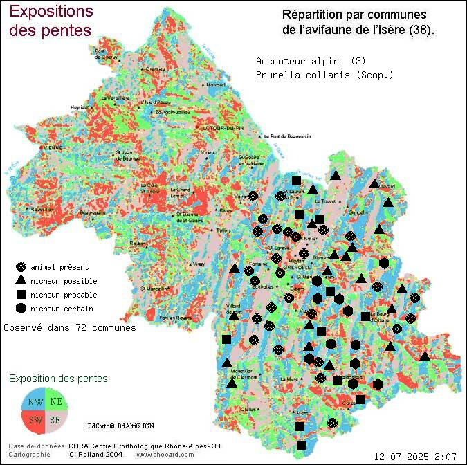 Accenteur alpin (Prunella collaris (Scop.)): carte de rpartition en Isre