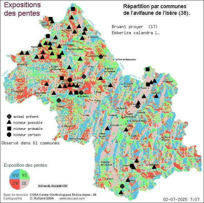 Bruant proyer (Emberiza calandra L.): carte de rpartition en Isre