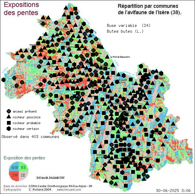 Buse variable (Butea buteo (L.)): carte de rpartition en Isre