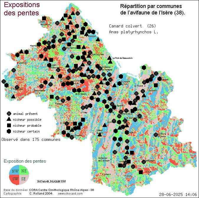 Canard colvert (Anas platyrhynchos L.): carte de rpartition en Isre