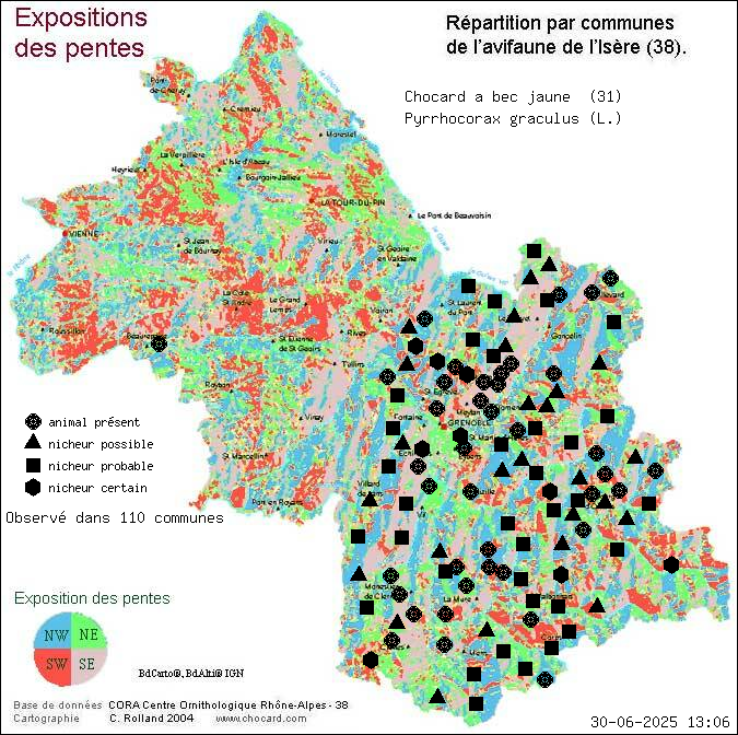 Chocard  bec jaune (Pyrrhocorax graculus (L.)): carte de rpartition en Isre