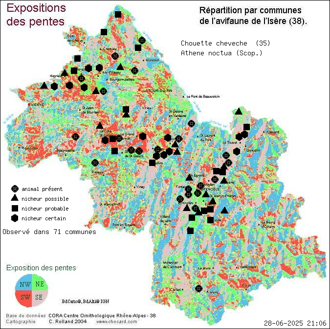 Chouette chevche (Athene noctua (Scop.)): carte de rpartition en Isre