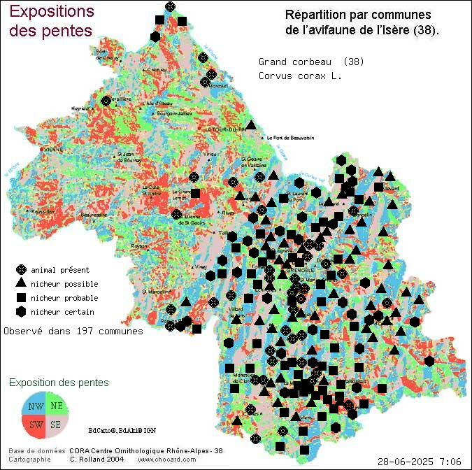 Grand corbeau (Corvus corax L.): carte de rpartition en Isre