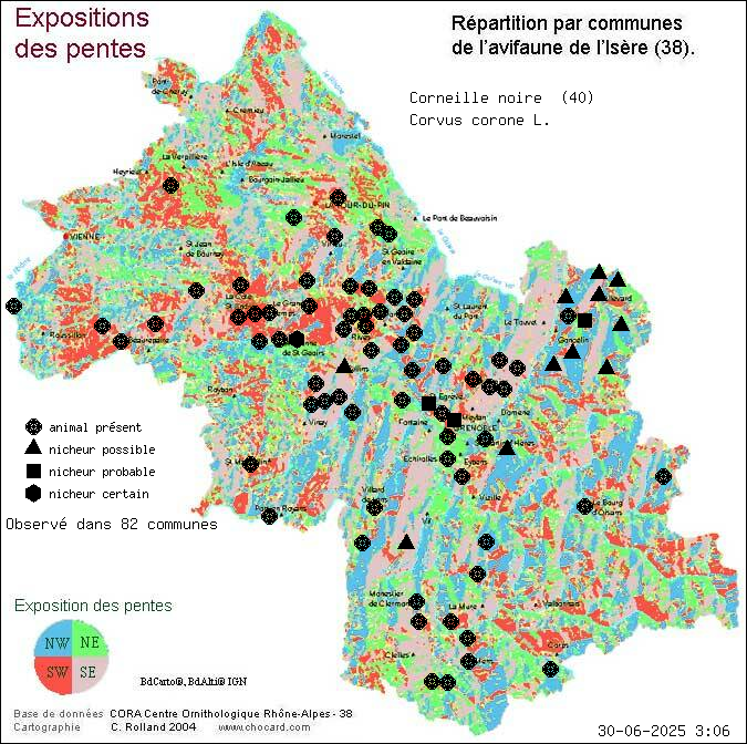 Corneille noire (Corvus corone L.): carte de rpartition en Isre