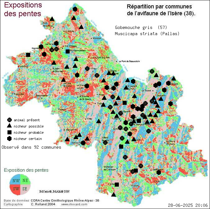 Gobemouche gris (Muscicapa striata (Pallas)): carte de rpartition en Isre