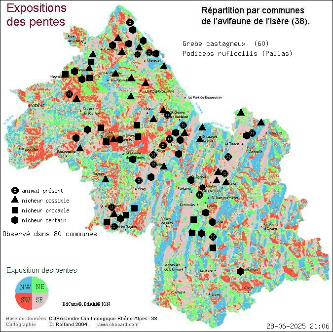 Grbe castagneux (Podiceps ruficollis (Pallas)): carte de rpartition en Isre