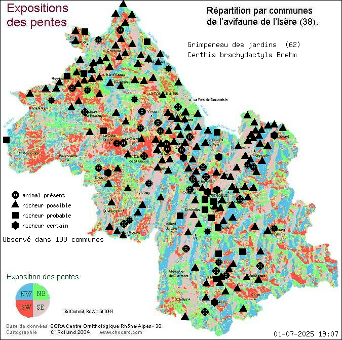 Grimpereau des jardins (Certhia brachydactyla Brehm): carte de rpartition en Isre