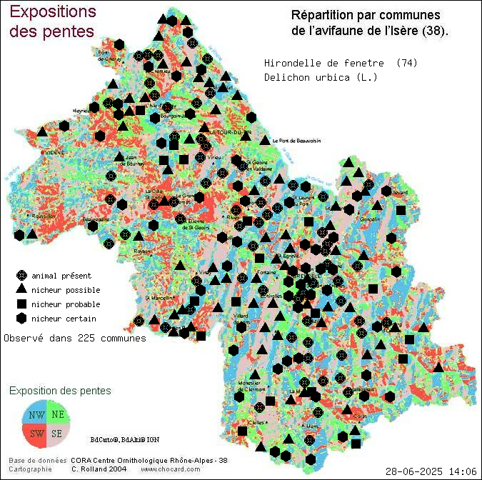 Hirondelle de fentre (Delichon urbica (L.)): carte de rpartition en Isre