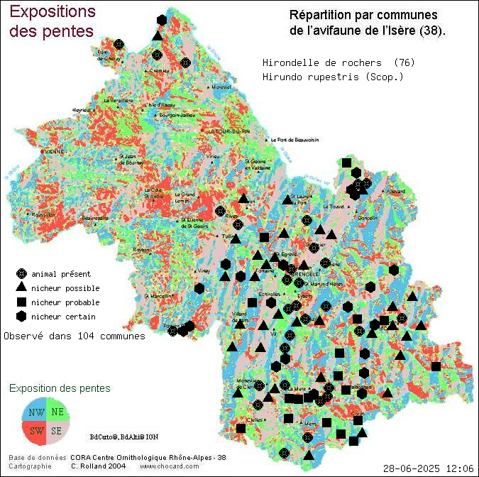 Hirondelle de rochers (Hirundo rupestris (Scop.)): carte de rpartition en Isre